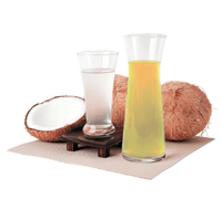 celebes coconut water concentrate