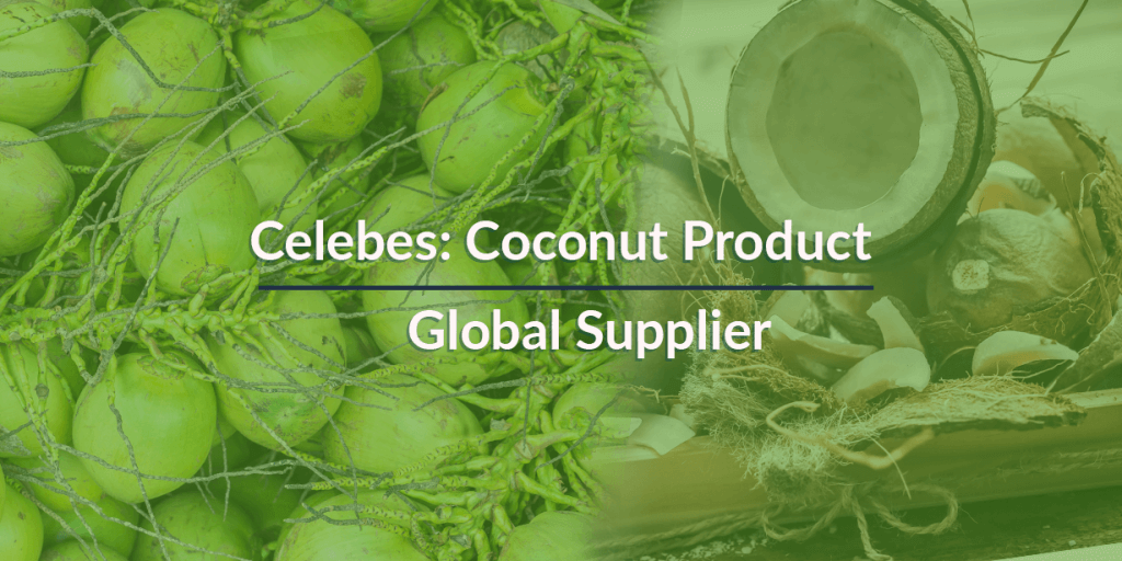 Celebes - Coconut Products Global Supplier