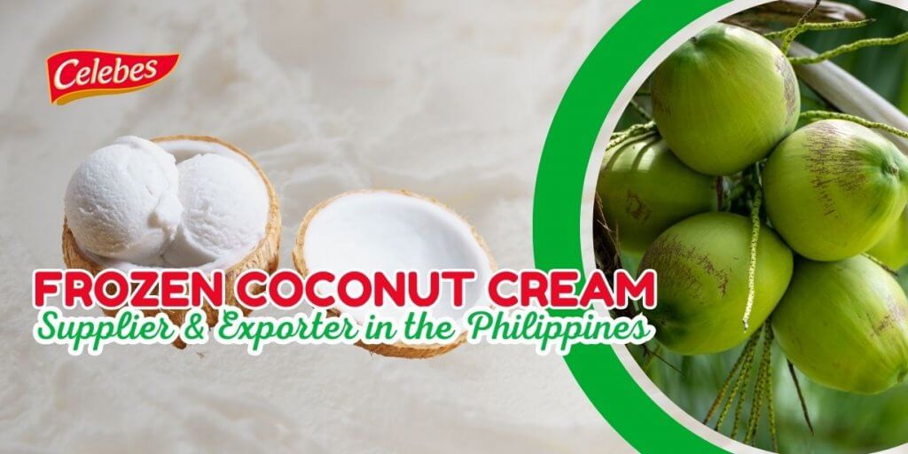 Frozen Coconut Cream Supplier & Exporter in the Philippines